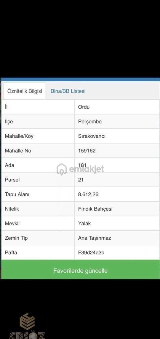 Ordu Perşembe Satılık Tek Tapu Fındık Bahçesi - 2