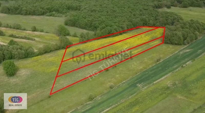 Bursa Nilüfer Unçukuru Mahallesinde 4.387m2 Satılık Hobi Bahçesi - 6