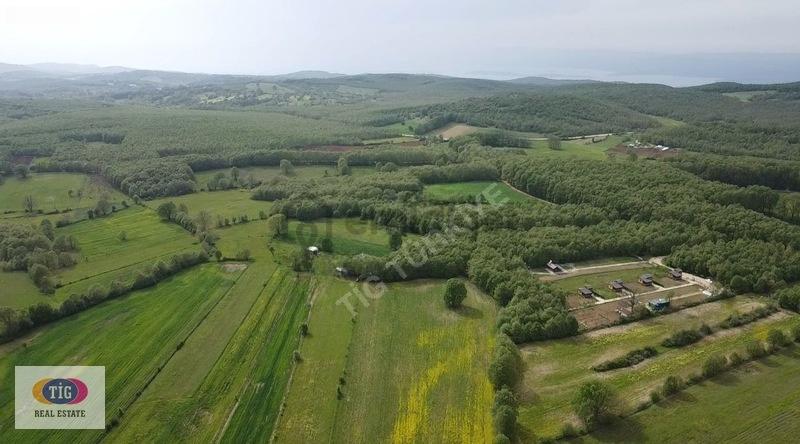 Bursa Nilüfer Unçukuru Mahallesinde 4.387m2 Satılık Hobi Bahçesi - 10