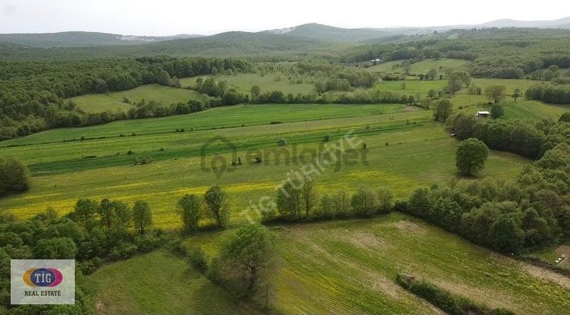 Bursa Nilüfer Unçukuru Mahallesinde 4.387m2 Satılık Hobi Bahçesi - 23