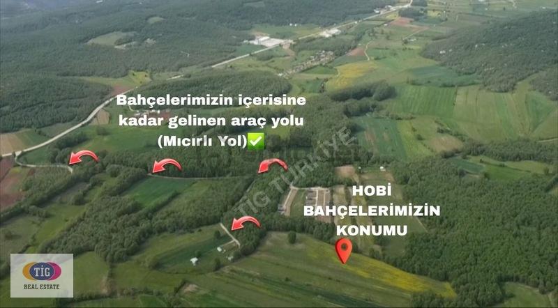 Bursa Nilüfer Unçukuru Mahallesinde 4.387m2 Satılık Hobi Bahçesi - 14