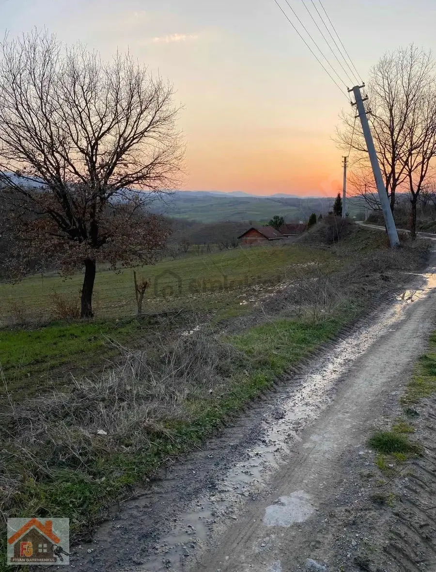 Kocaeli Karamürsel Çamdıbı Köyünde Satılık Tarla - 3