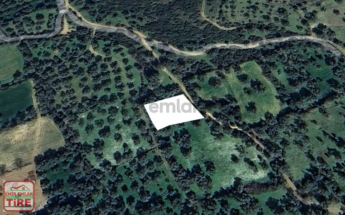 Emir Emlak'tan Satılık Zeytinlik