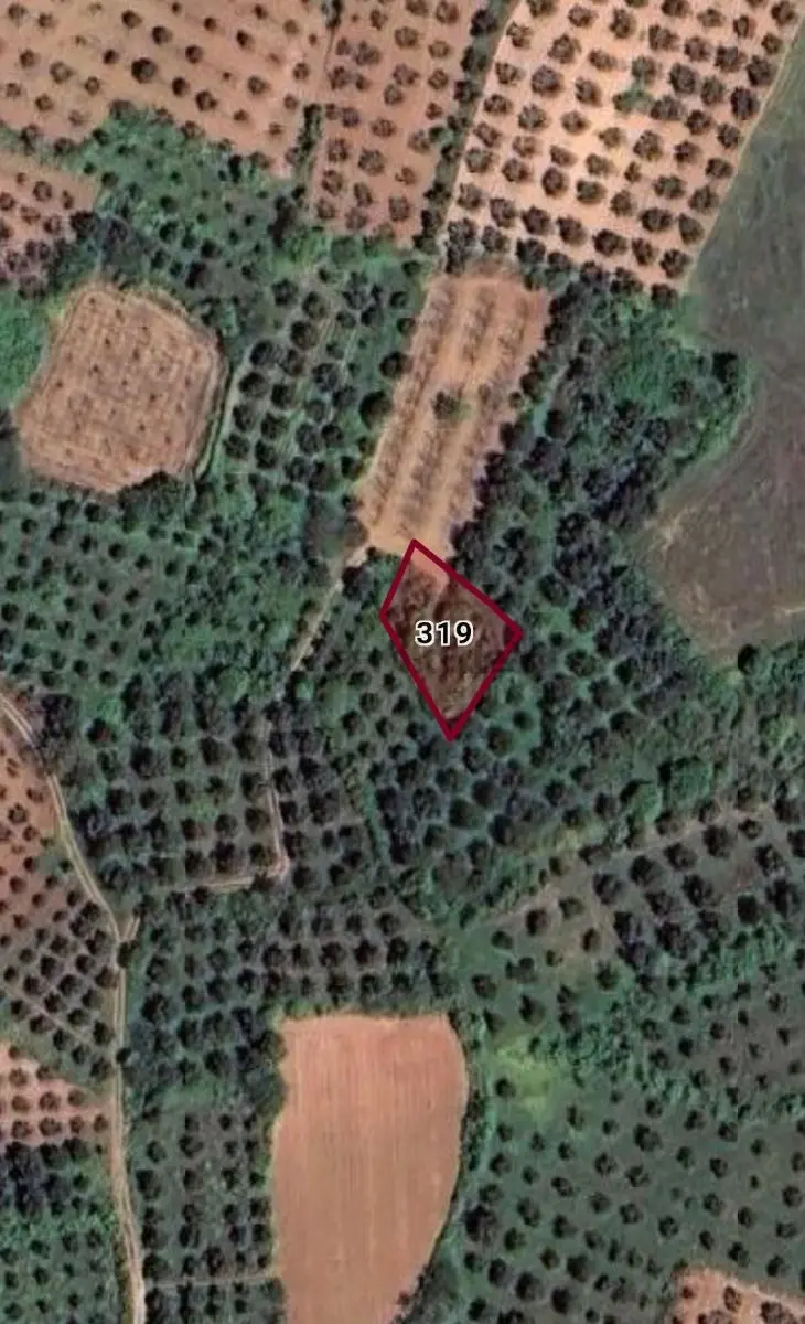 Bandırma Yeşilçomluda 492 M2 Satılık Bağ - 3