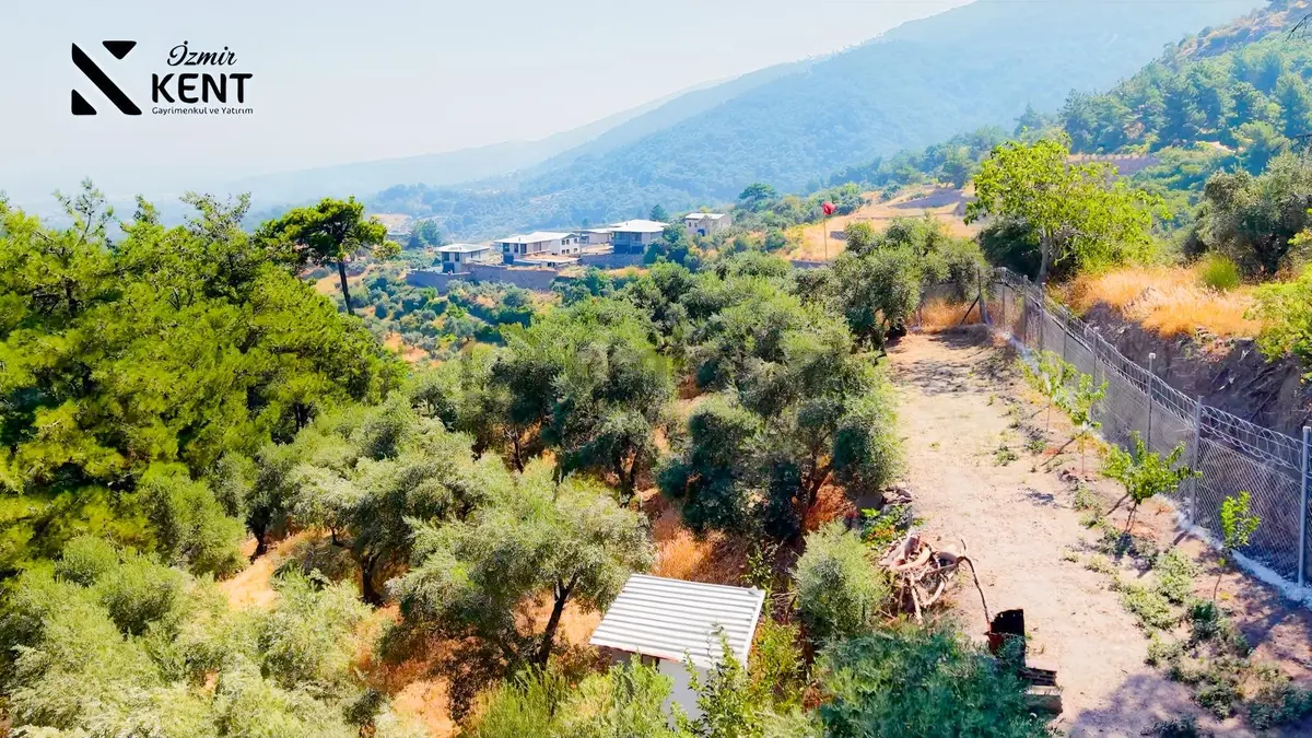 Kemalpaşa Yukarıkızılca Satılık 1.350 M2 Bahçe + Ev | Tek Tapu - 5