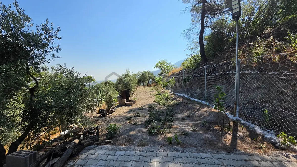 Kemalpaşa Yukarıkızılca Satılık 1.350 M2 Bahçe + Ev | Tek Tapu - 28