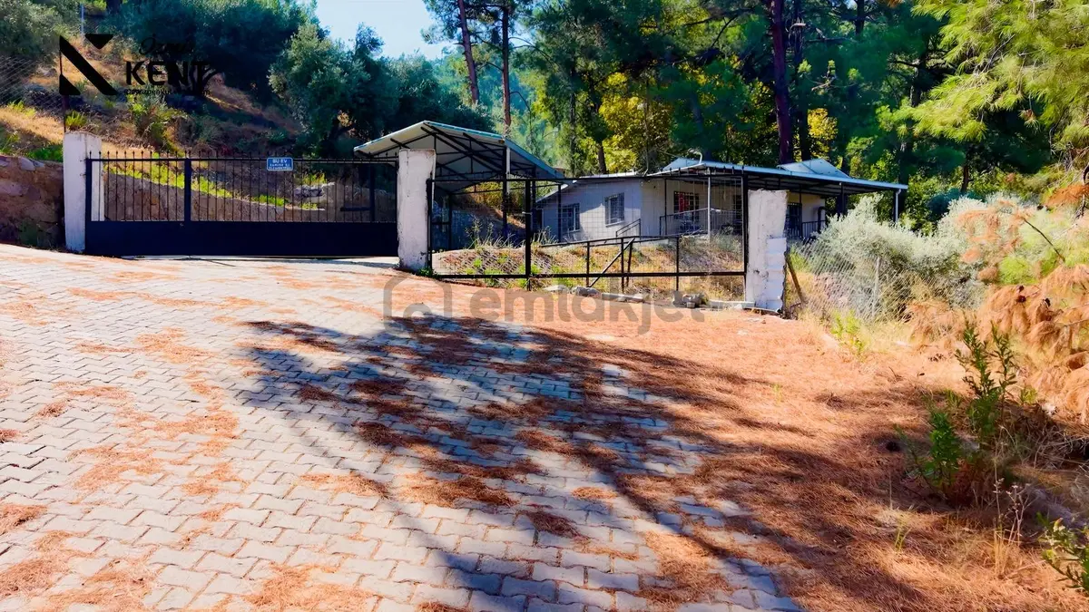 Kemalpaşa Yukarıkızılca Satılık 1.350 M2 Bahçe + Ev | Tek Tapu - 14
