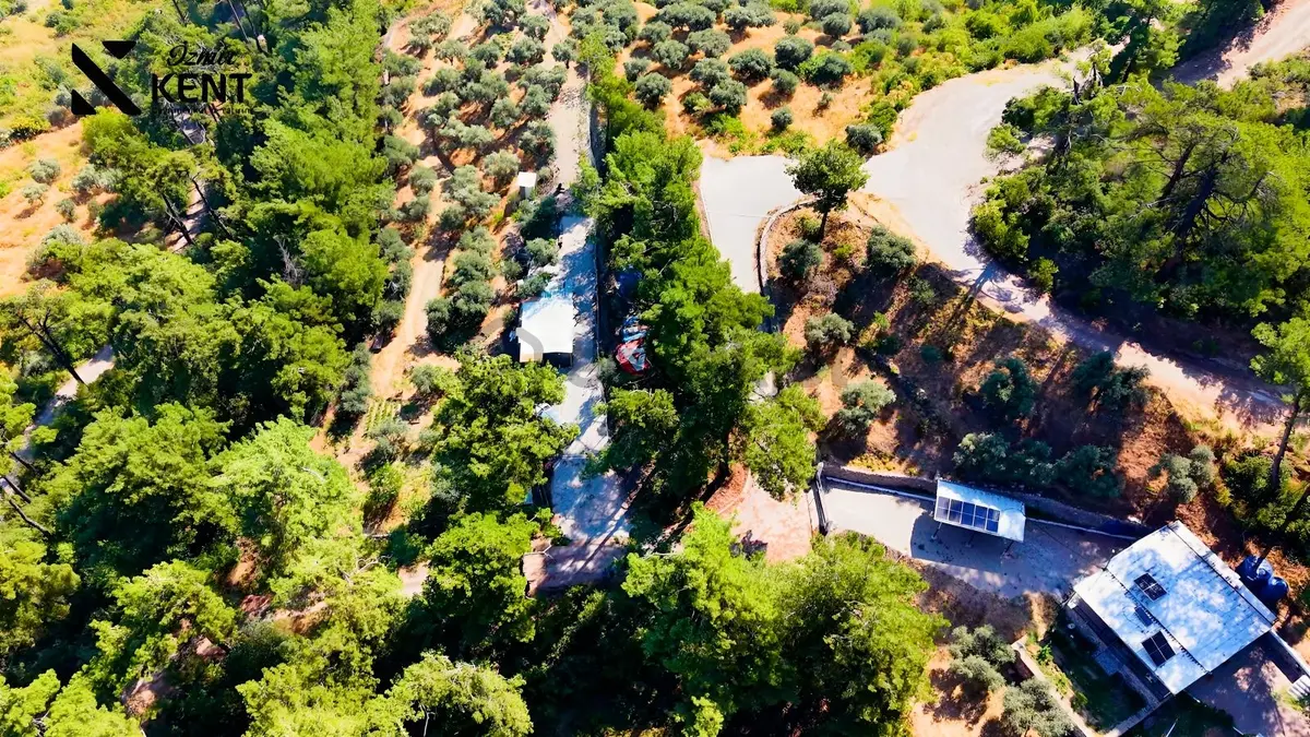 Kemalpaşa Yukarıkızılca Satılık 1.350 M2 Bahçe + Ev | Tek Tapu - 13