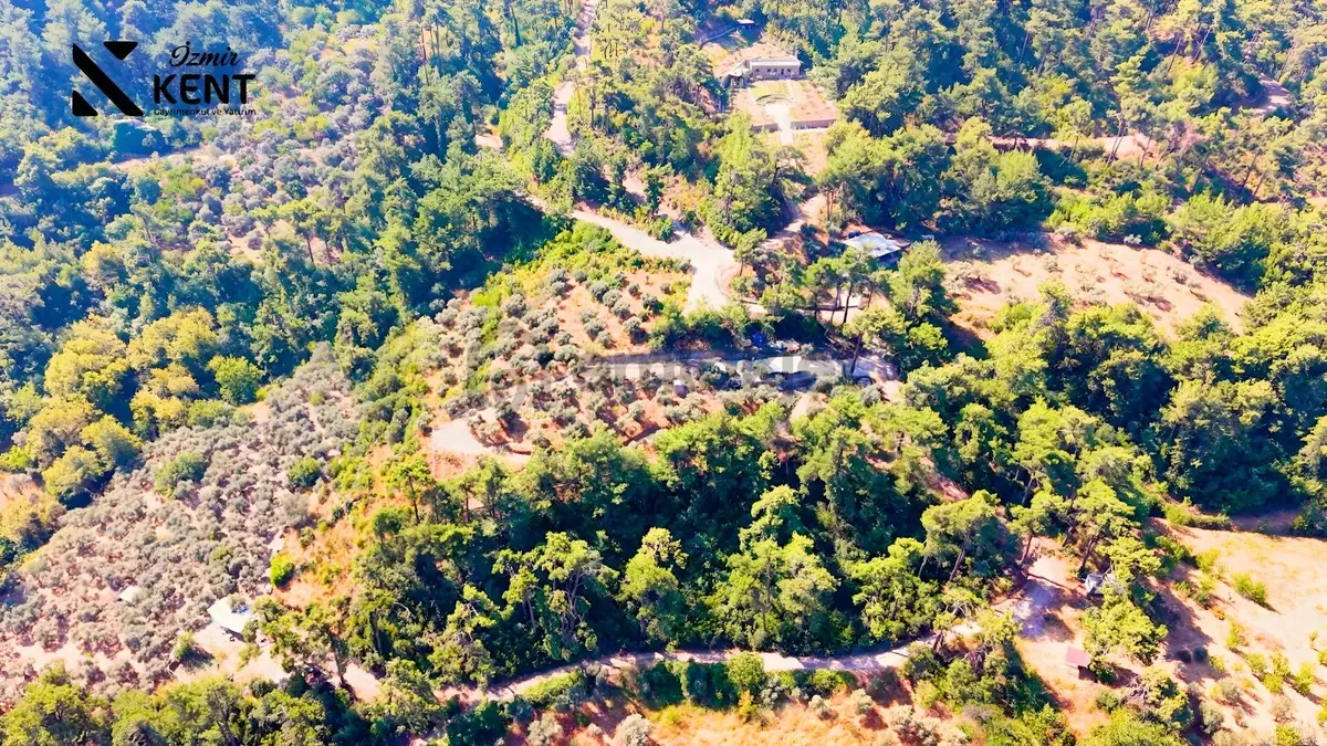 Kemalpaşa Yukarıkızılca Satılık 1.350 M2 Bahçe + Ev | Tek Tapu - 16