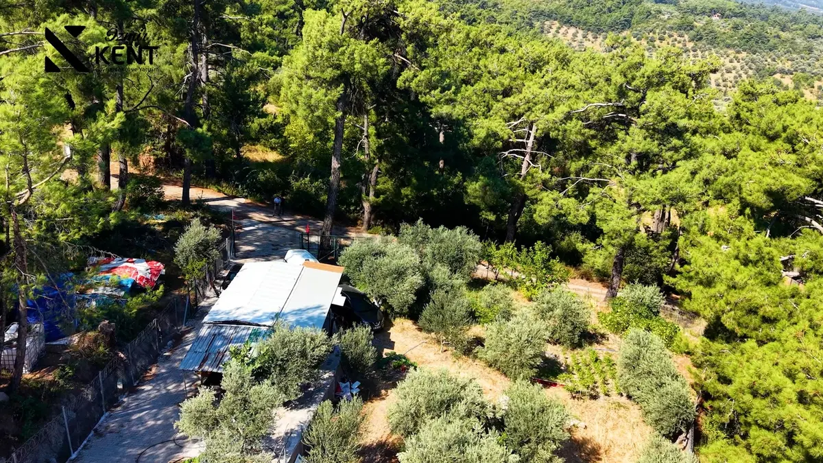 Kemalpaşa Yukarıkızılca Satılık 1.350 M2 Bahçe + Ev | Tek Tapu - 12