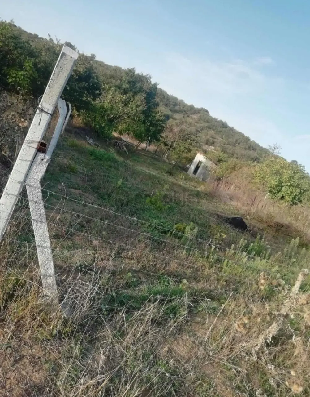 Sahibinden Kadastro Yolu Olan Köye Yakın Bağ Arazisi - 8