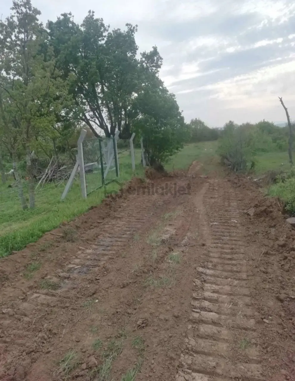 Sahibinden Kadastro Yolu Olan Köye Yakın Bağ Arazisi - 6