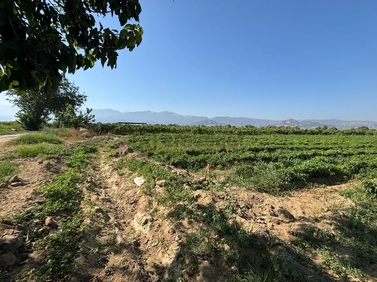 Tc Emlaktan Satılık Yaklaşık 10.500 M2 - 3