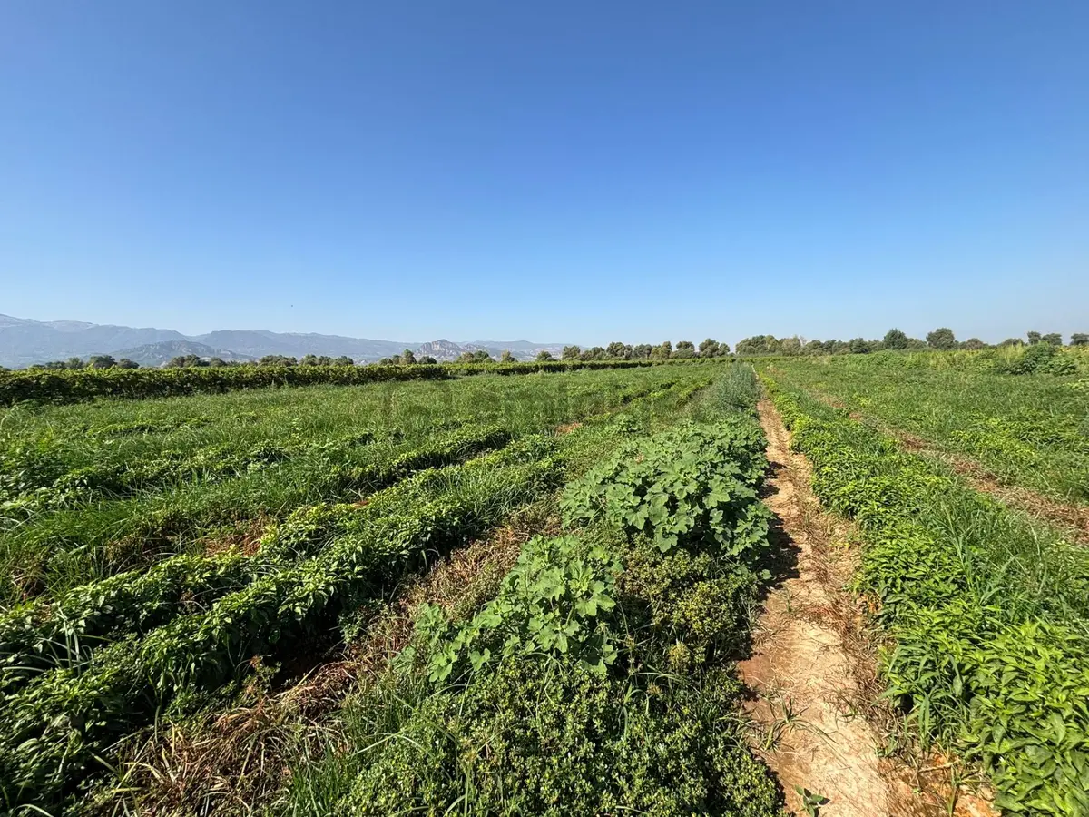 Tc Emlaktan Satılık Yaklaşık 10.500 M2 - 17