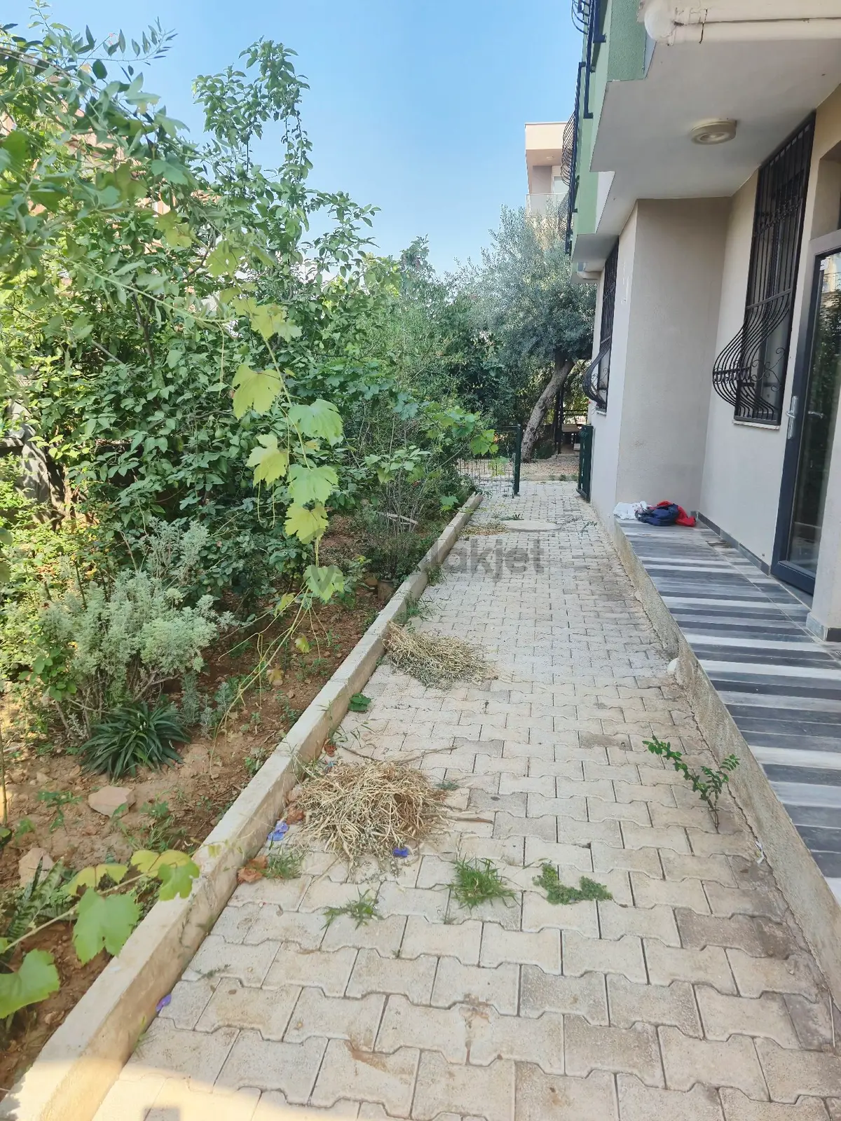 Müstakil Tadında Kiralık 2+1 - 7
