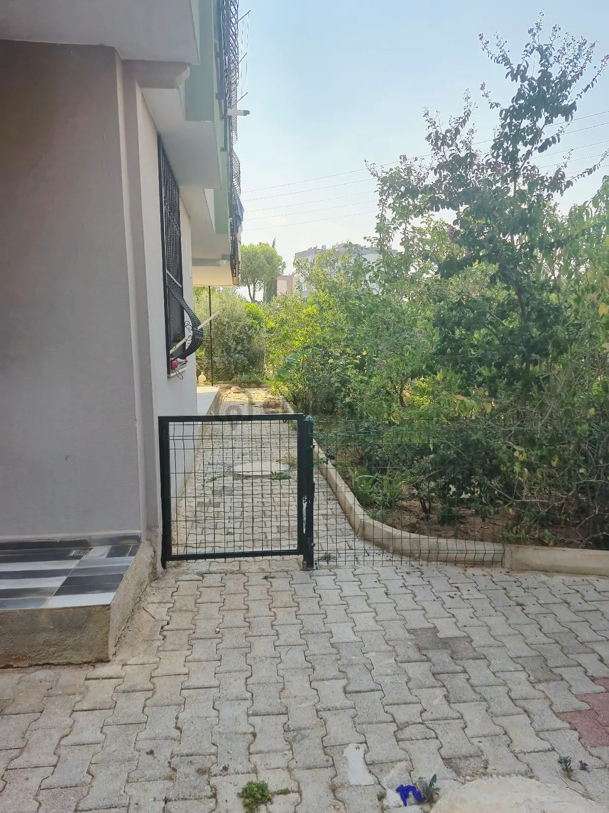 Müstakil Tadında Kiralık 2+1 - 4