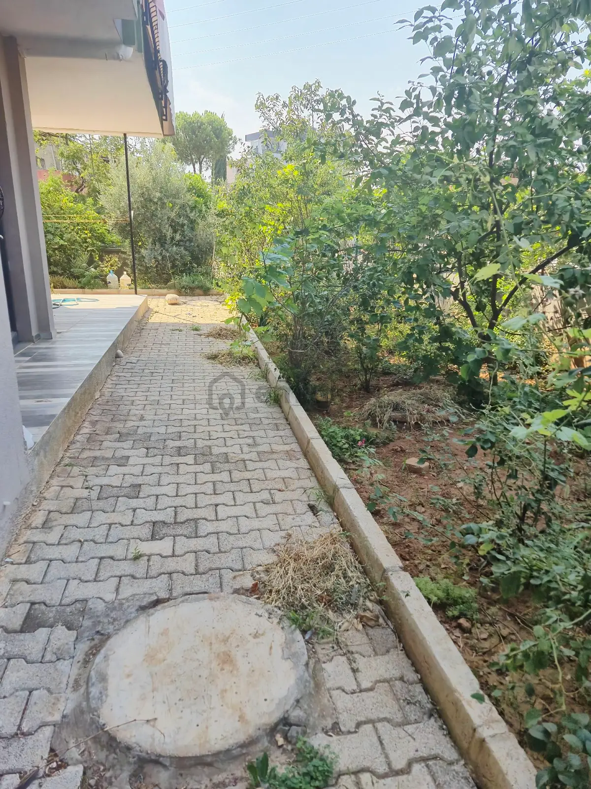 Müstakil Tadında Kiralık 2+1 - 6