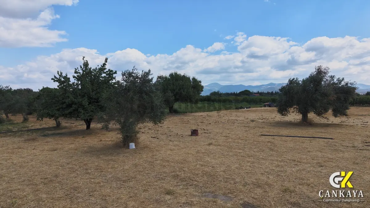 Çankaya'dan Burhaniye Gerişte 10.051 M² Satılık Tarla - 11