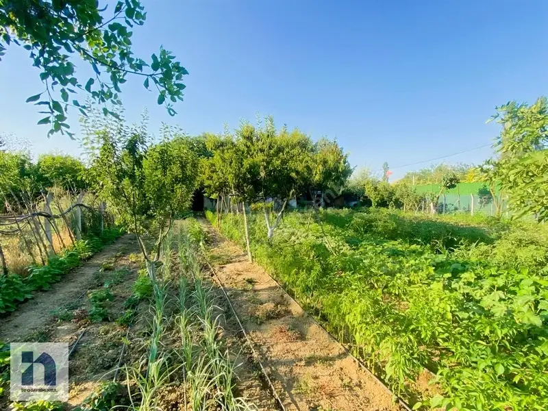 Nilüfer Alaaddinbeyde Müstakil Parsel 650 M2 Hobi Bahçesi - 10