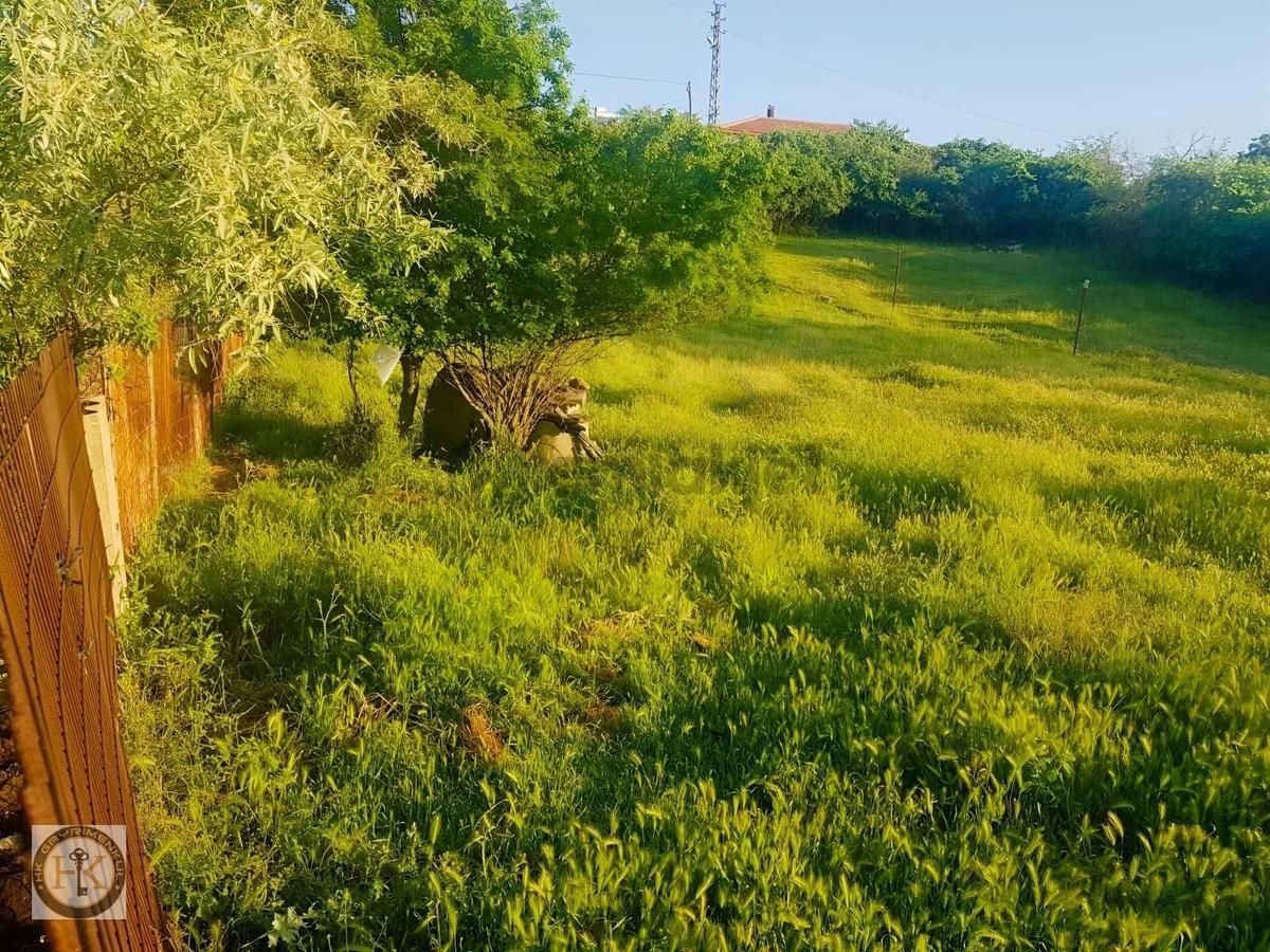 Tekirdağ Hayrabolu Çıkrıkçı 2,5 Kat İmarlı Satılık Arsa - 4