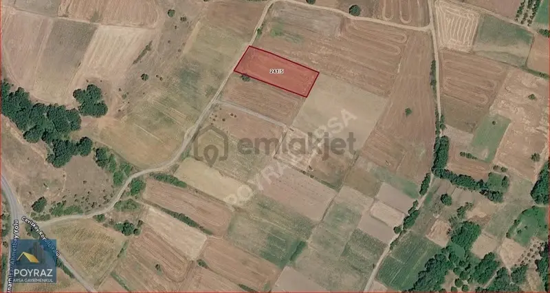 Kırklareli Pnarhisar Cevizköyde Satılık 253m2 - 6