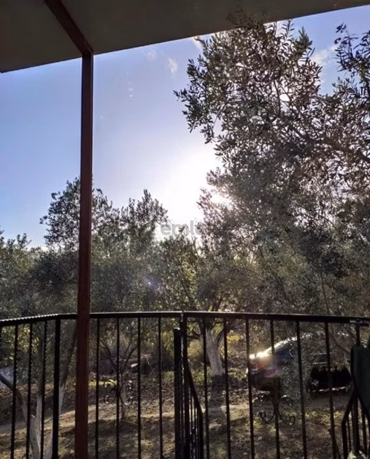 Seydikemer Ortaköy'de Satılık Arazi - 3