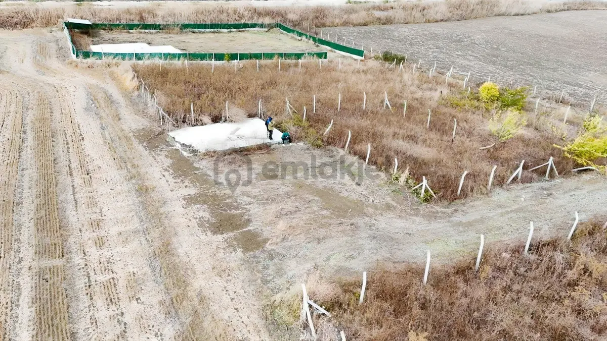 Çatalca Bahşayiş - 24