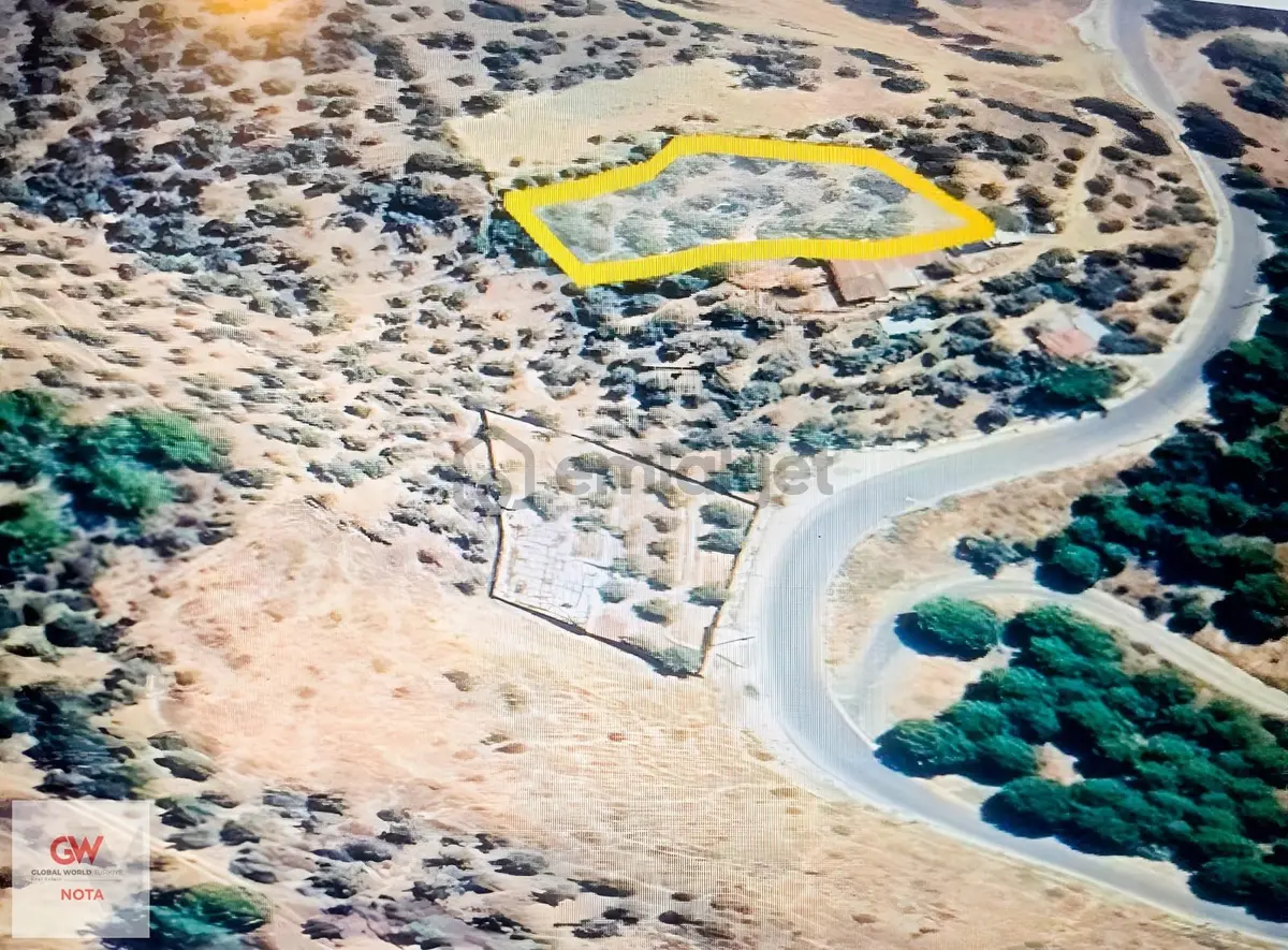 Torbalı Dirmil Mahallesinde Satılık Zeytinlik - 2