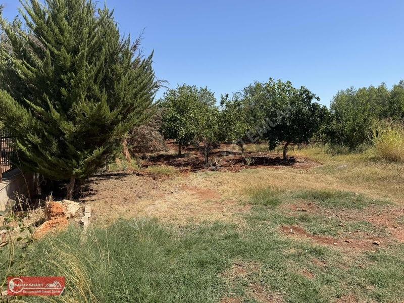 Kepez Camlıca Mh 2000 Mt Tarla İçinde Villa - 13