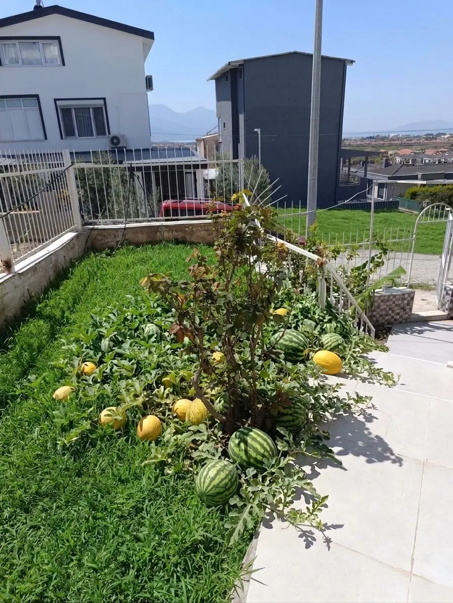 Deniz Manzaralı, Bahçeli, Müştemilatlı 5+2 Satılık Müstakil Villa - 22