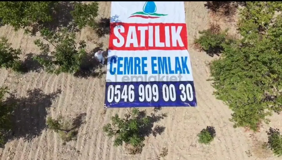 Bozkurt Baklankuyucak Tarla - 14