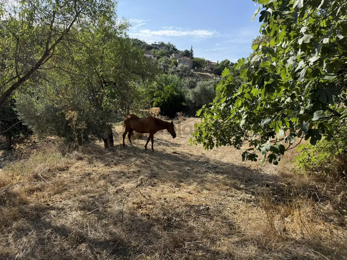 Muğla Milas Alaçam Satılık İmarlı Arsa 2050 M2 - 22