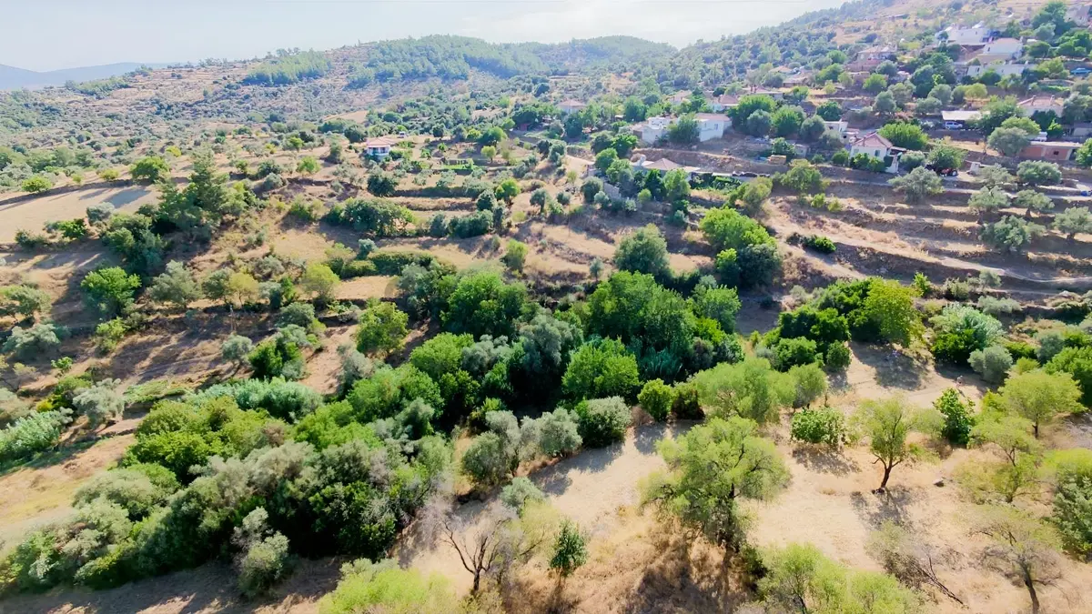 Muğla Milas Alaçam Satılık İmarlı Arsa 2050 M2 - 33