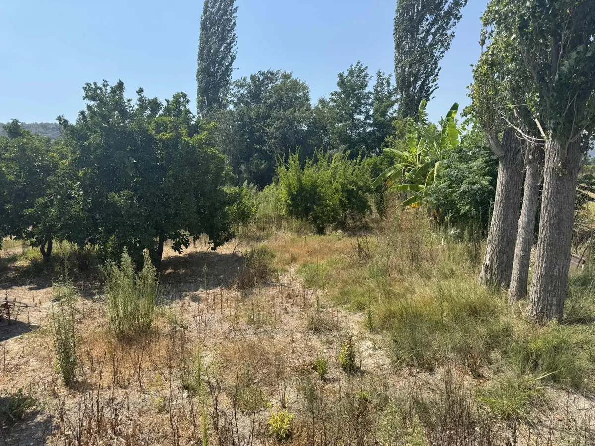 Satılık Tarla | Fevziye /ortaca | 14000m2 - 6