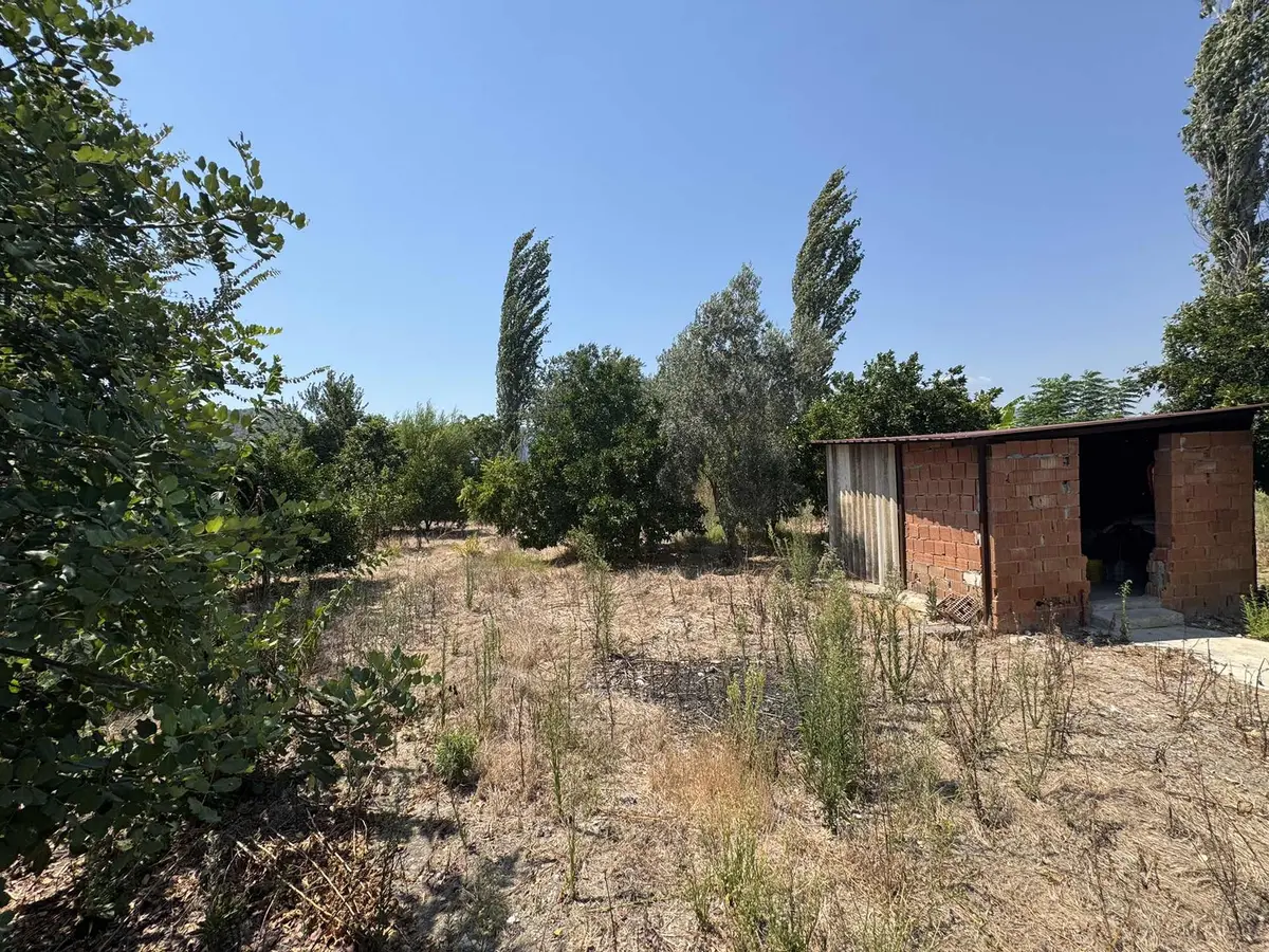 Satılık Tarla | Fevziye /ortaca | 14000m2 - 4