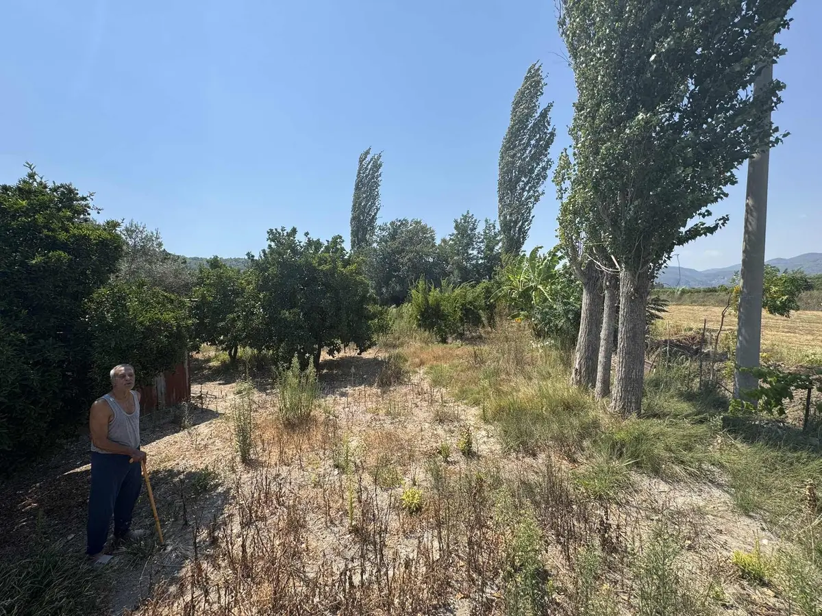 Satılık Tarla | Fevziye /ortaca | 14000m2 - 3
