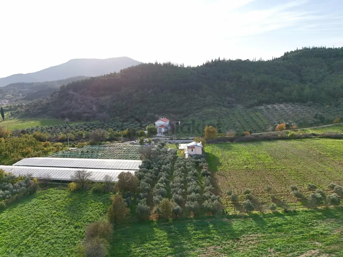 Seferihisar Orhanlı Köyü'nde Tam Müstakil Ruhsatlı Ev Ve Tarla - 15