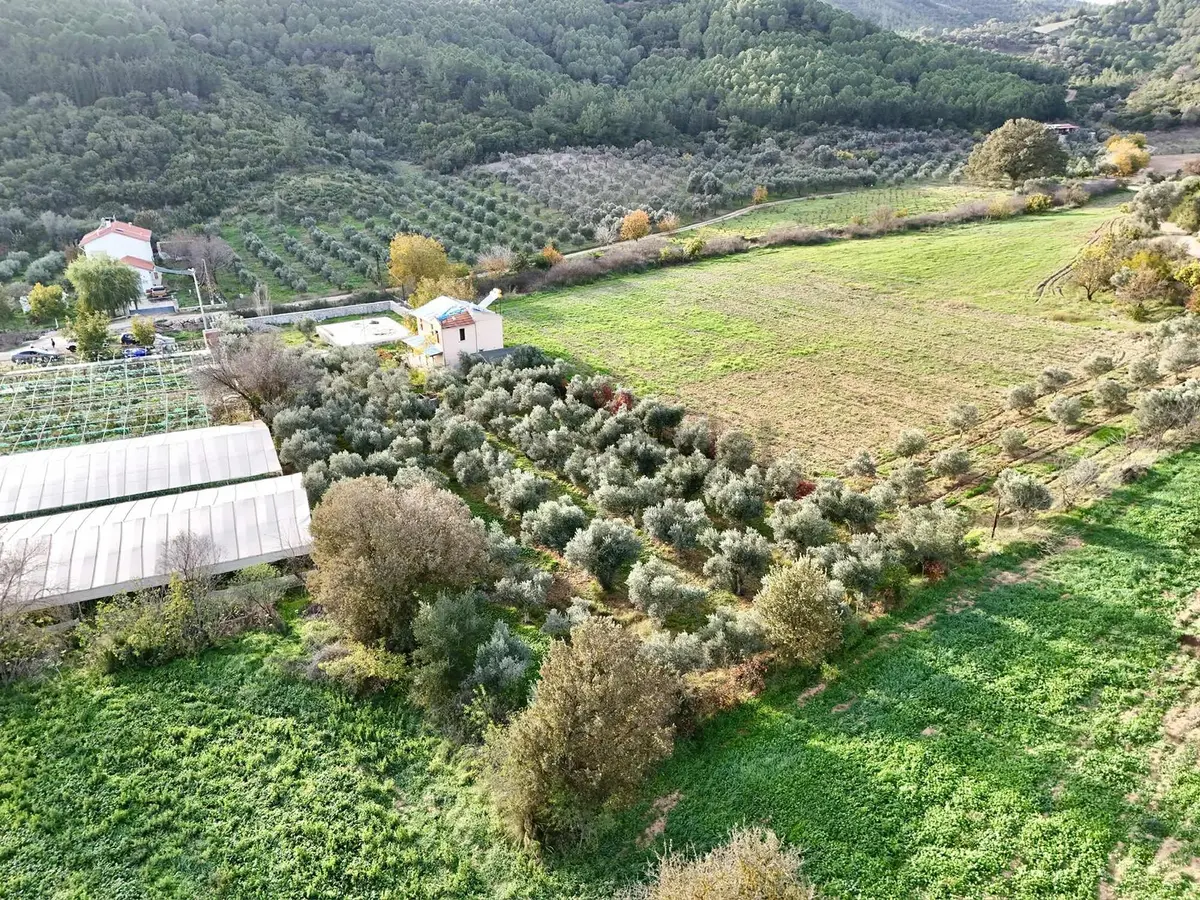 Seferihisar Orhanlı Köyü'nde Tam Müstakil Ruhsatlı Ev Ve Tarla - 18