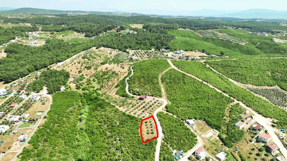 İzmir Buca Belenbaşında 591 M² Müstakil Tarla - 8