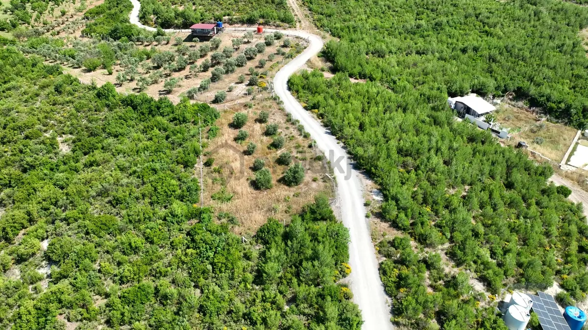 İzmir Buca Belenbaşında 591 M² Müstakil Tarla - 15