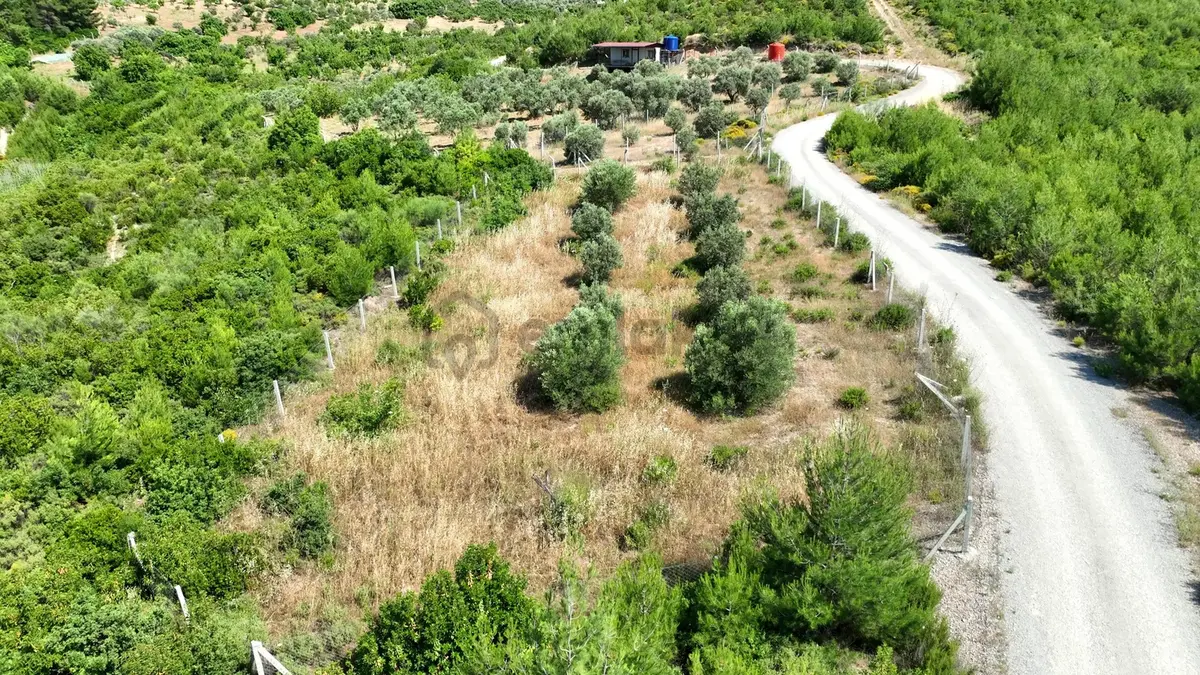 İzmir Buca Belenbaşında 591 M² Müstakil Tarla - 4