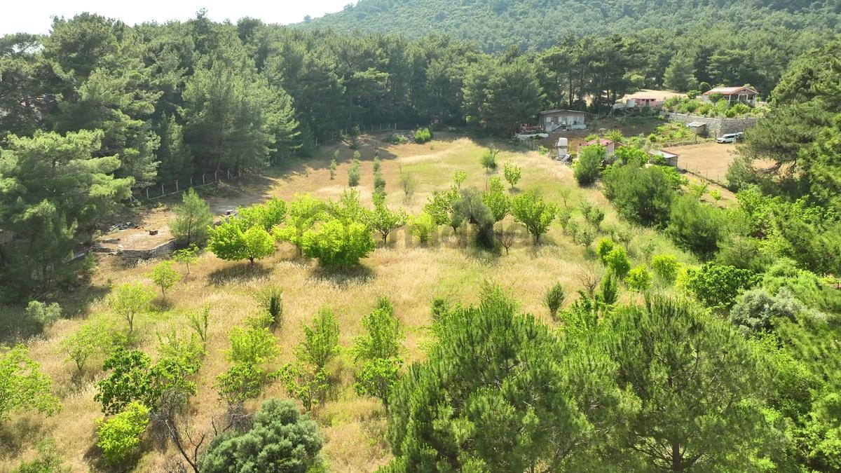İzmir Buca Doğancılarda 8.209 M² Müstakil Tarla - 19