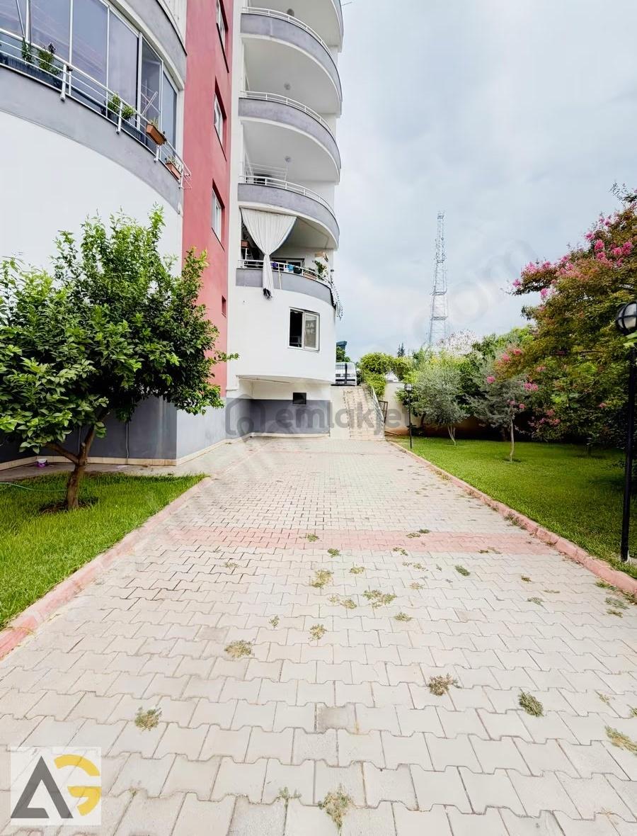 Auradan Üni. Cad. 1+1 Eşyalı Kiralık Daire - 3