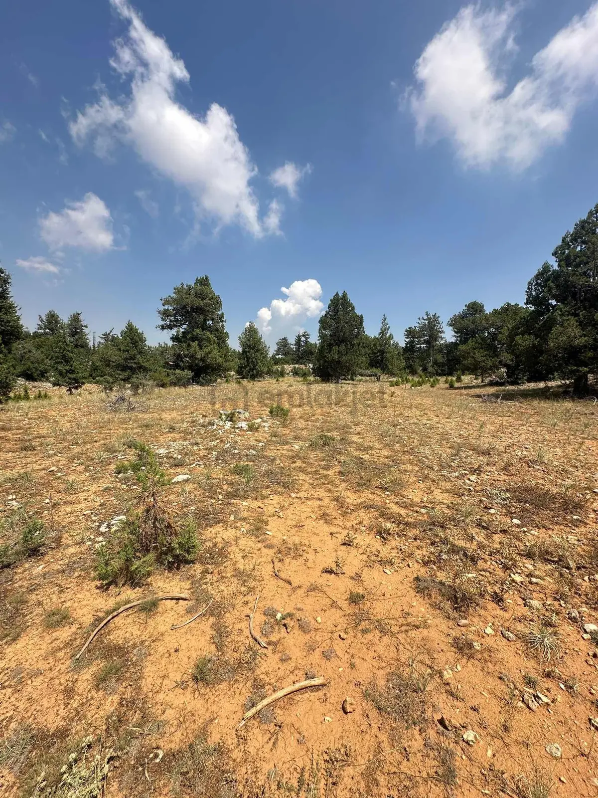 Güzeloluk'ta Satılık 3.366m2 Arsa !! - 2
