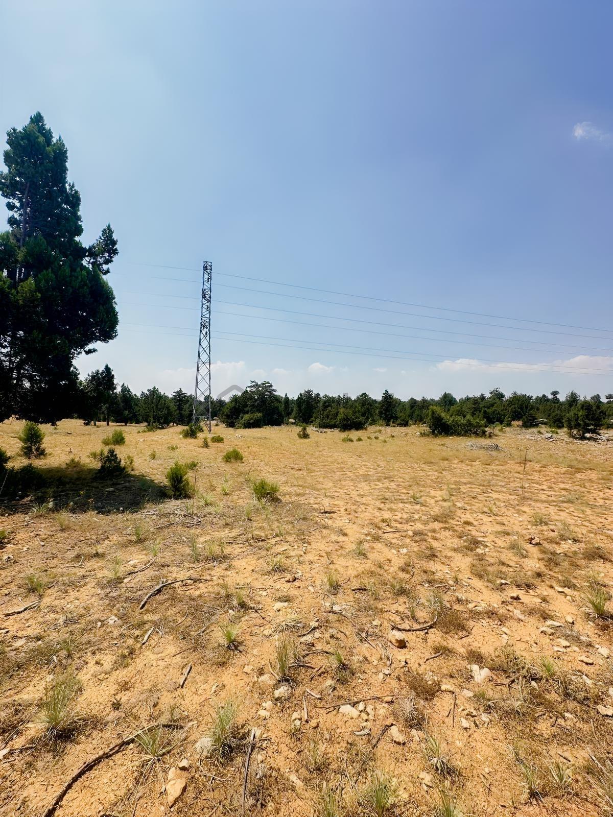 Güzeloluk'ta Satılık 3.366m2 Arsa !! - 8
