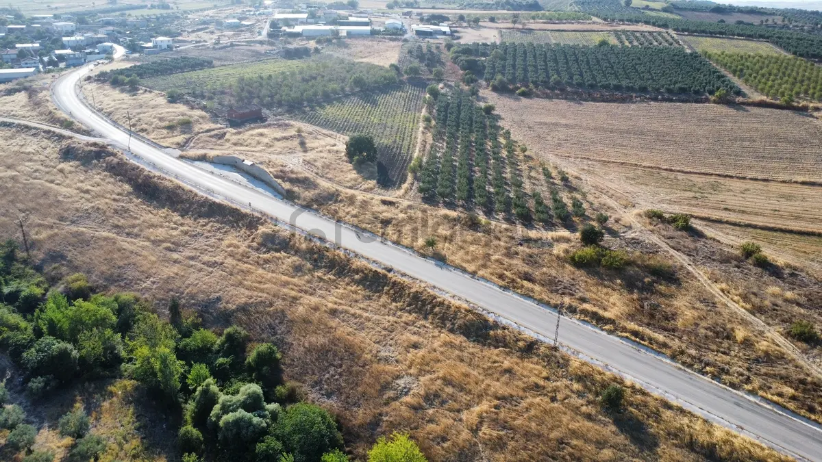 Çavuşköyde Asfalta Cephe Satılık İmarlı Arsa - 21