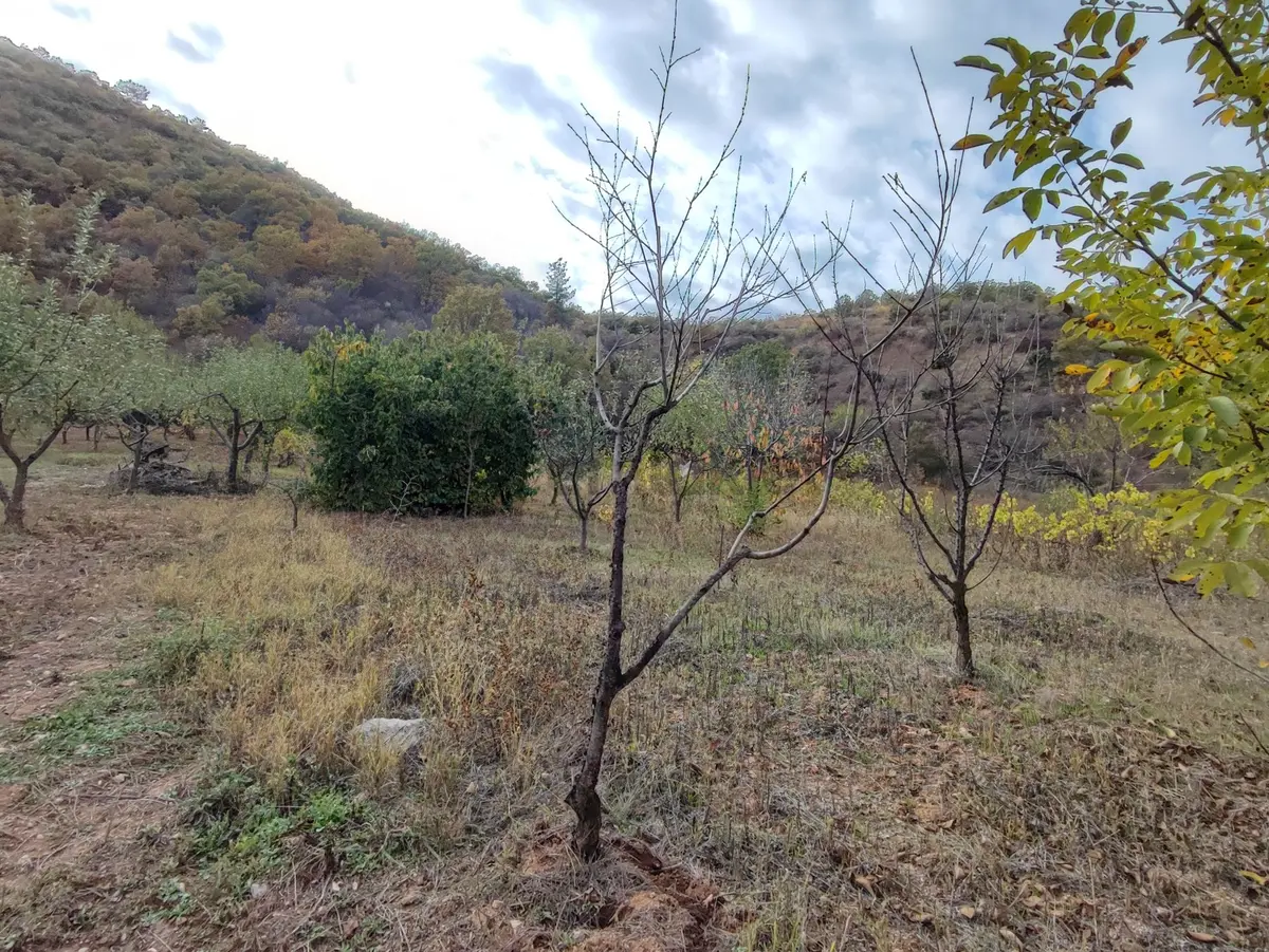 Sahibinden Uşak Eşme Kayalı Köyü Tek Tapu 4.100m2 - 3