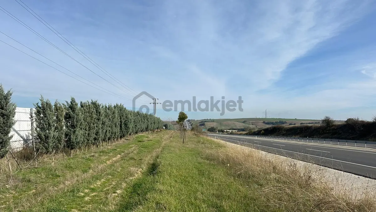 Edirne İpsala Esetçe (kurtuluş) Mahallesinde Satılık Tarla - 6