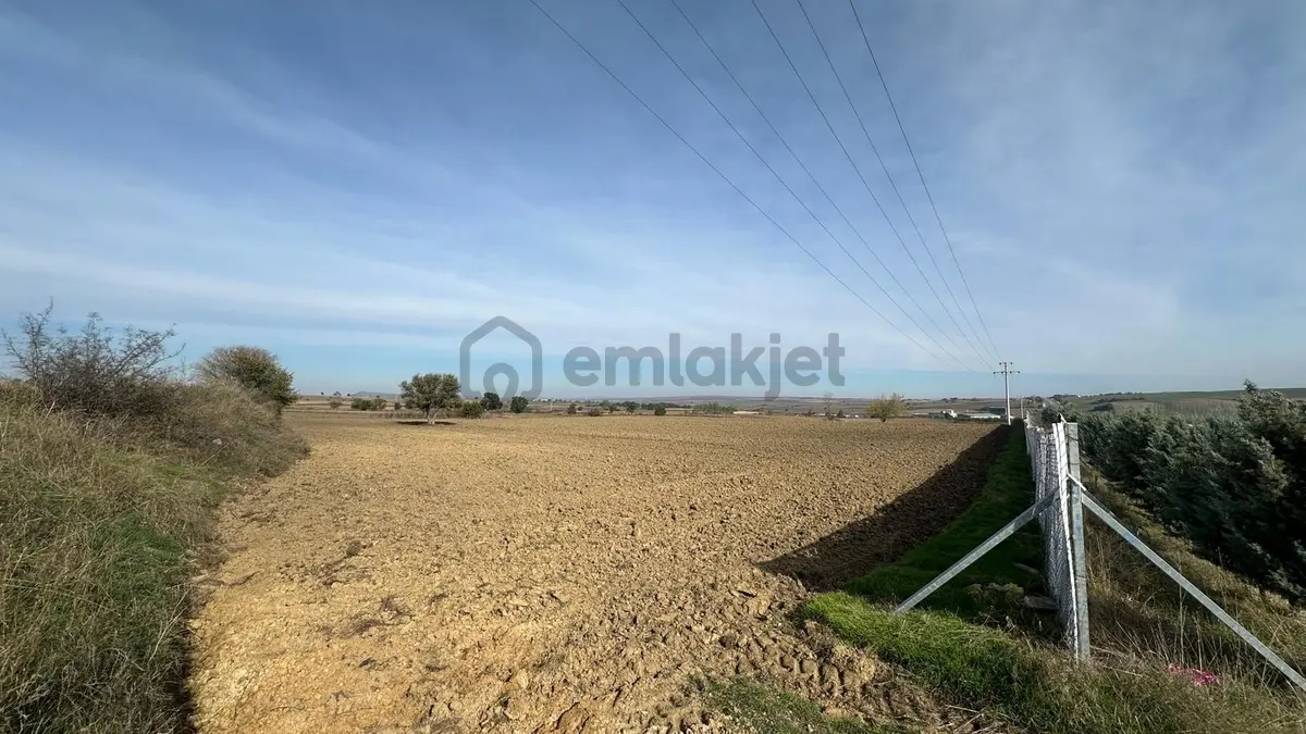 Edirne İpsala Esetçe (kurtuluş) Mahallesinde Satılık Tarla - 10