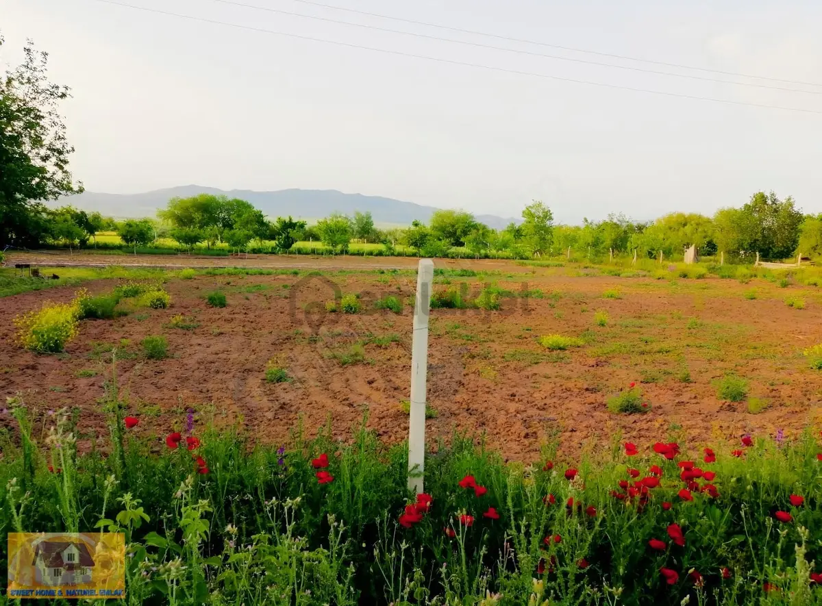 Mollakendi Bld. Köğenk Satılık Bahçe - 9
